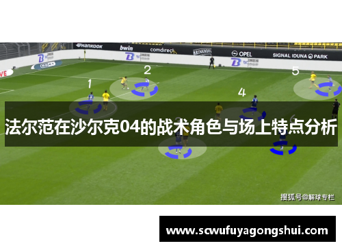法尔范在沙尔克04的战术角色与场上特点分析